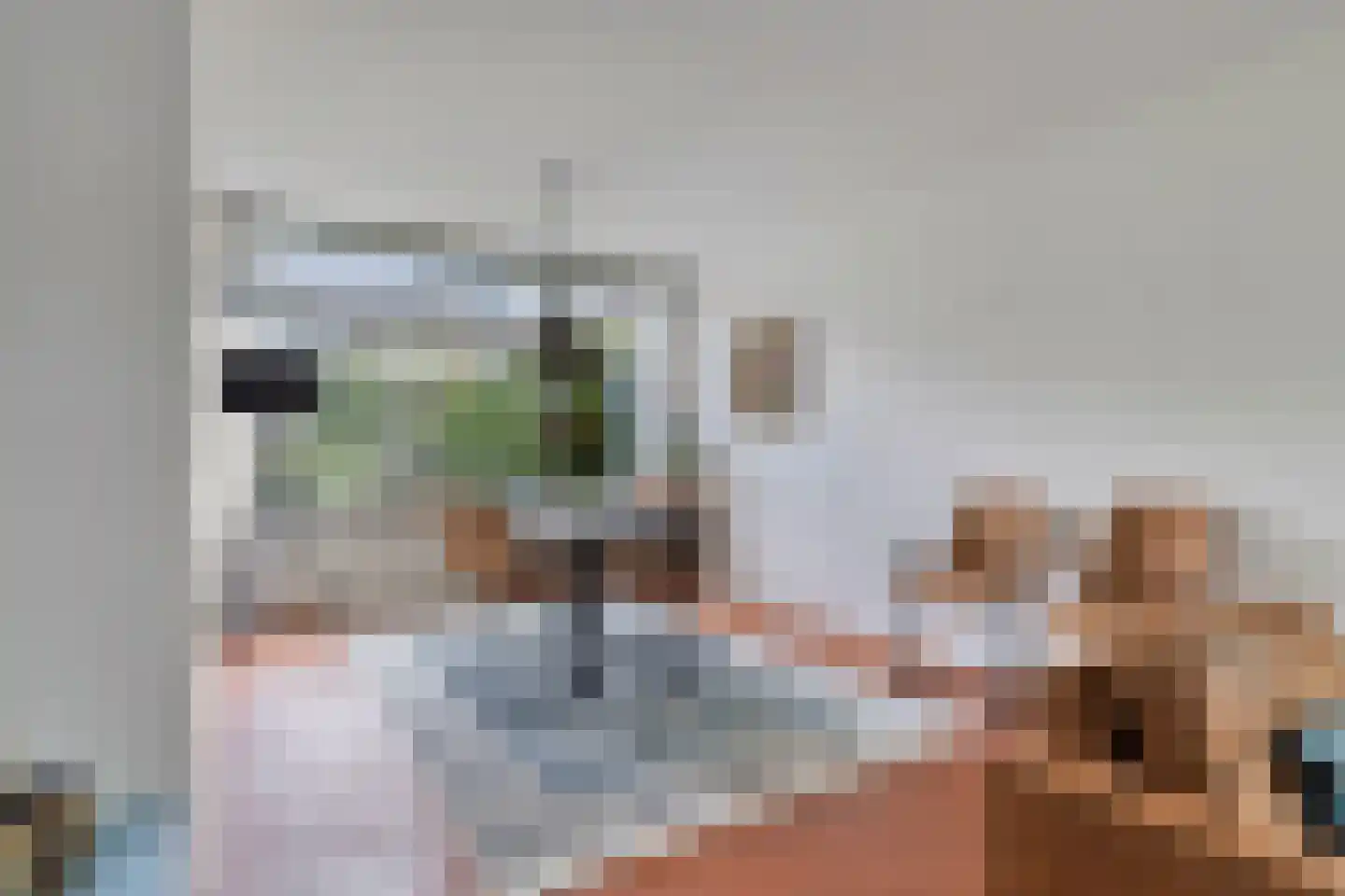 Renesselaan 28 De Meern thumbnail 10
