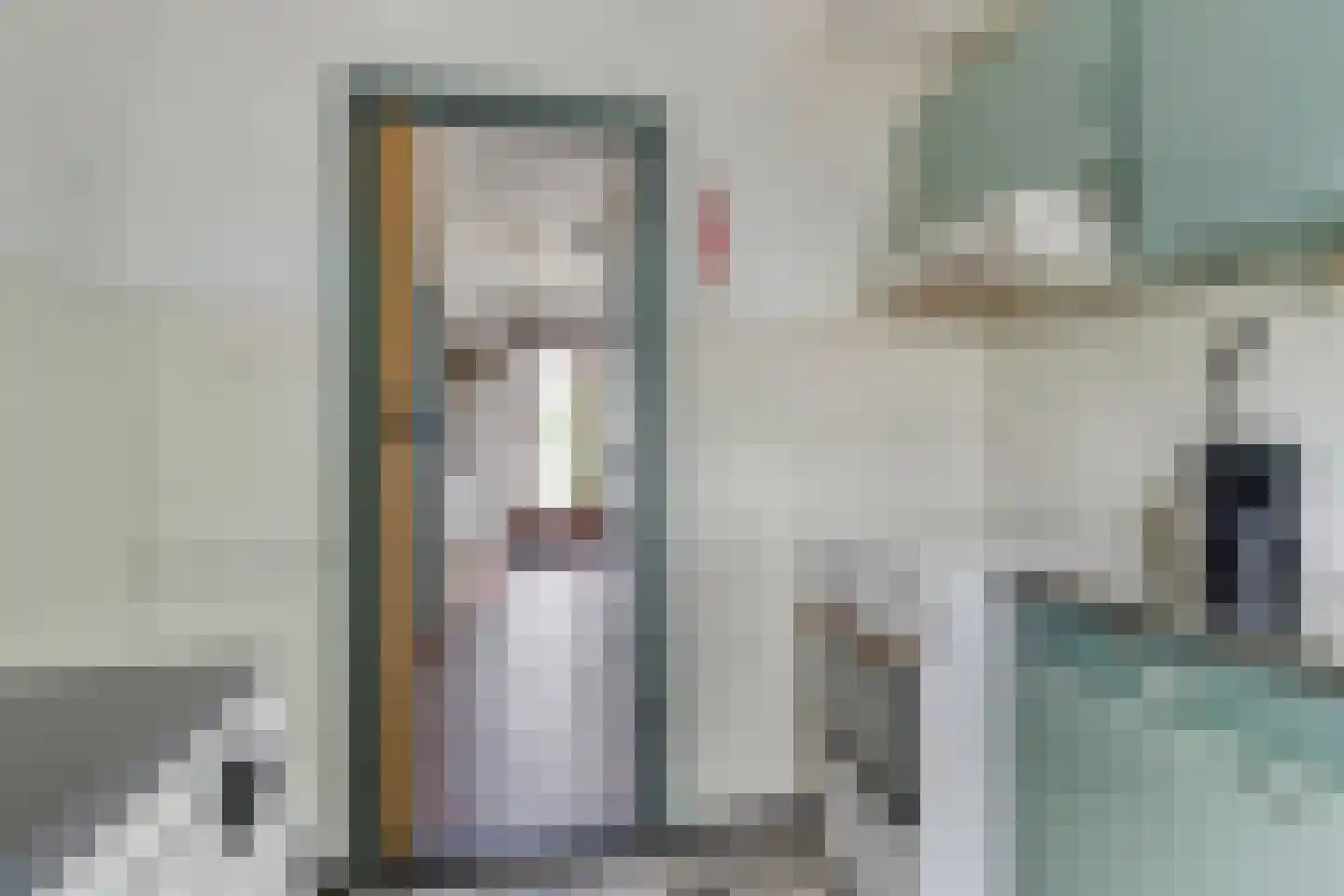 Renesselaan 28 De Meern thumbnail 12