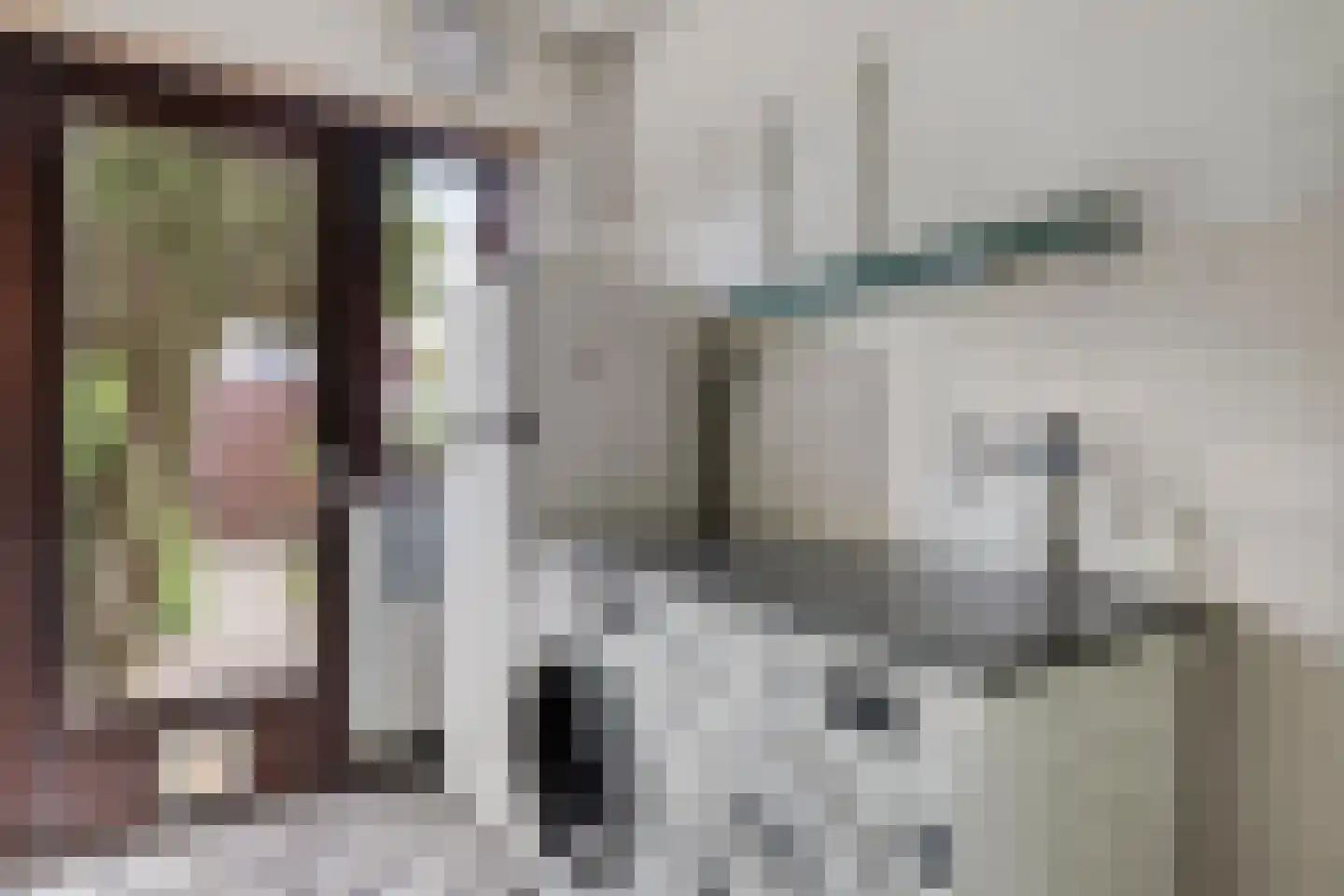 Renesselaan 28 De Meern thumbnail 14