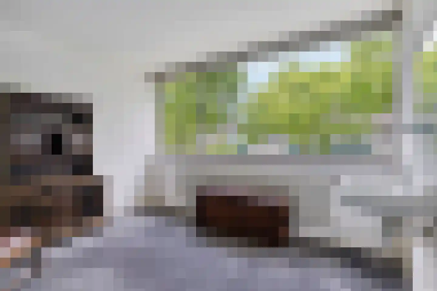 Renesselaan 28 De Meern thumbnail 27