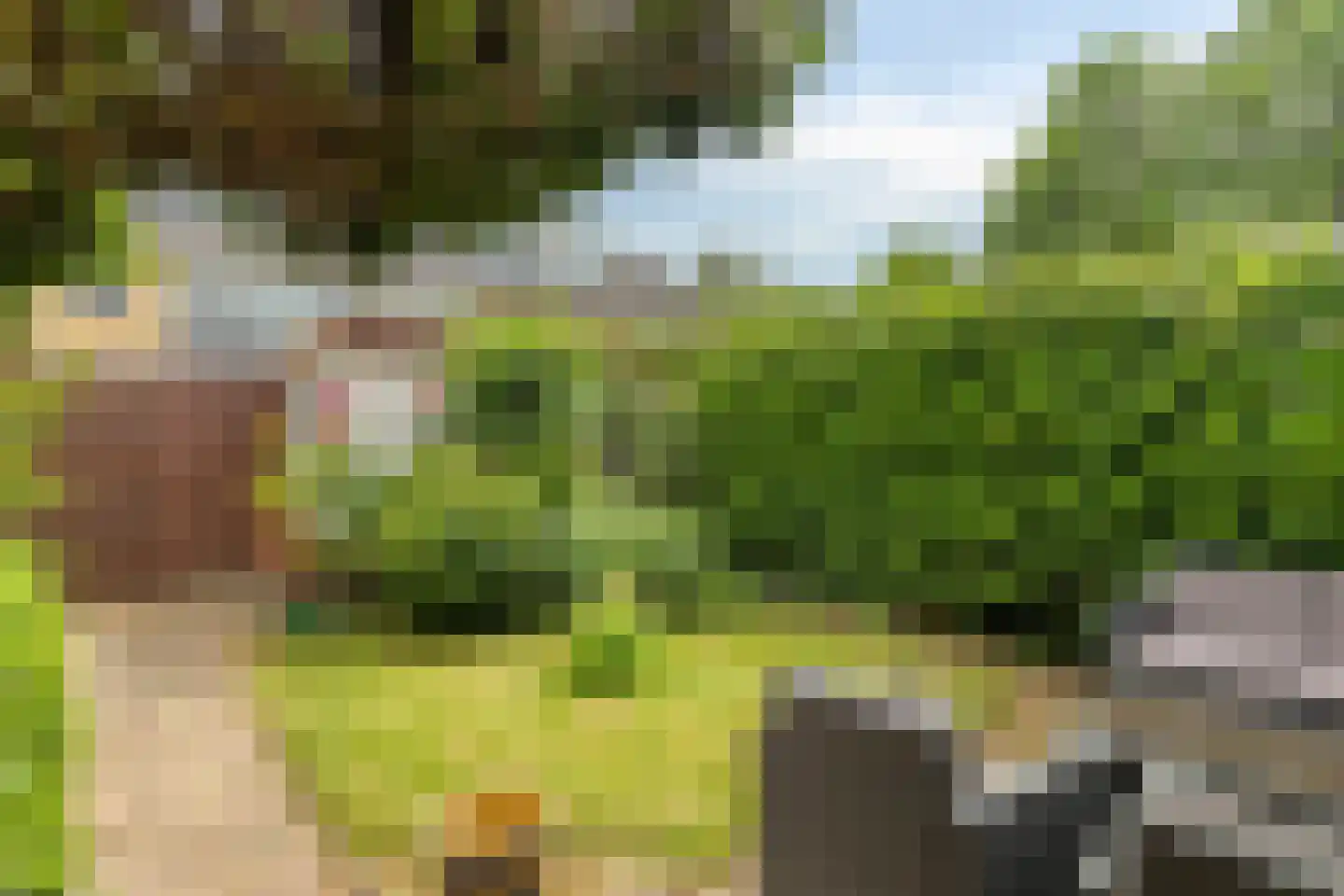 Renesselaan 28 De Meern thumbnail 38