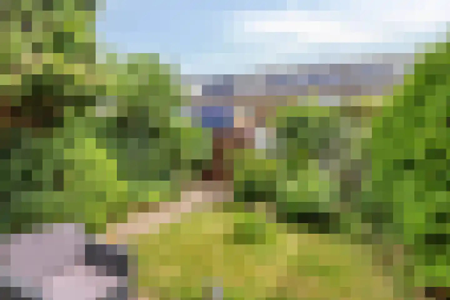 Renesselaan 28 De Meern thumbnail 39