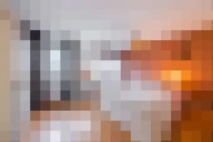 Renesselaan 30 Tilburg thumbnail 17
