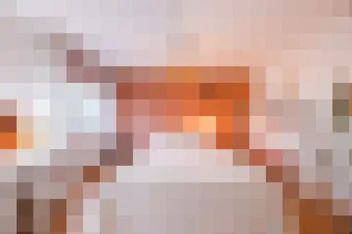 Renesselaan 30 Tilburg thumbnail 18