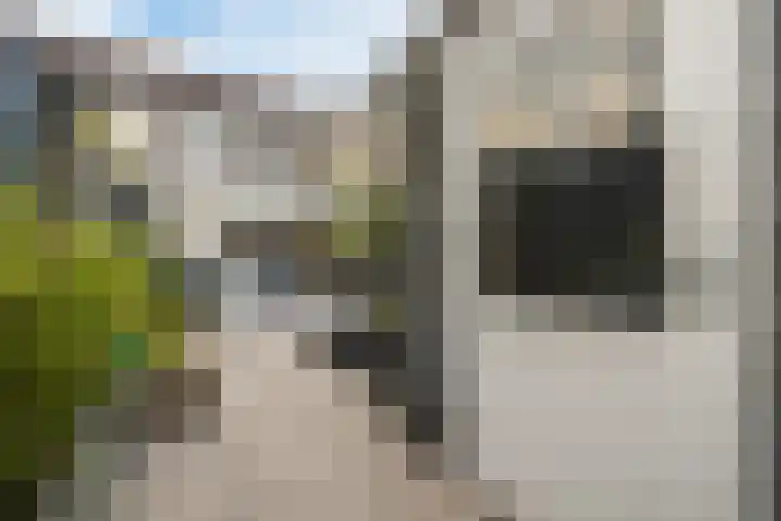 Renesselaan 30 Tilburg thumbnail 39