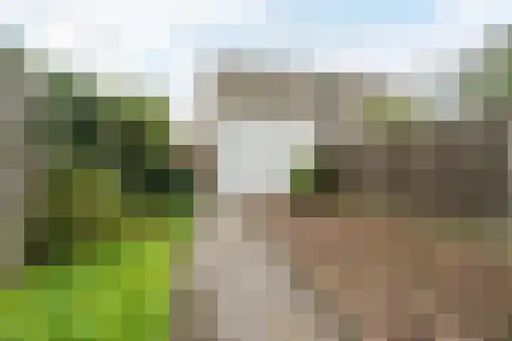 Renesselaan 68 Tilburg thumbnail 23