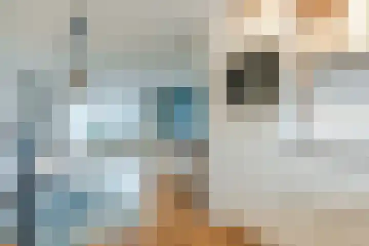 Renesselaan 68 Tilburg thumbnail 8