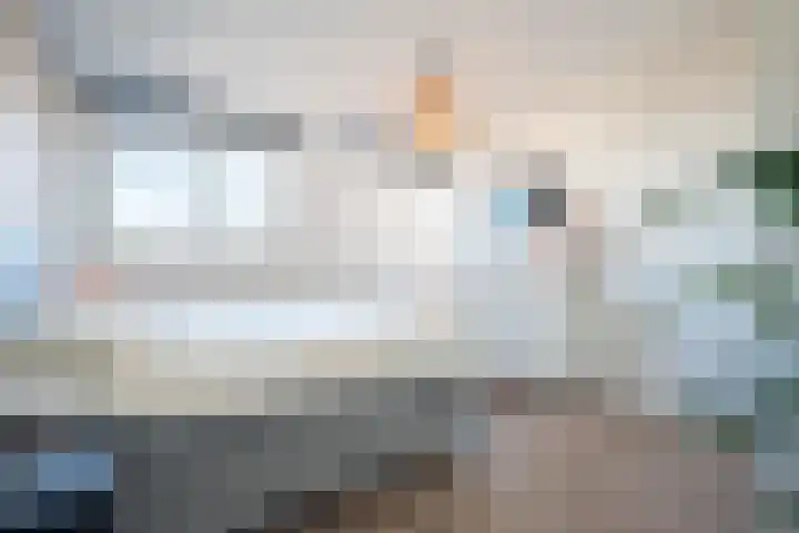 Renesselaan 99 Tilburg thumbnail 16