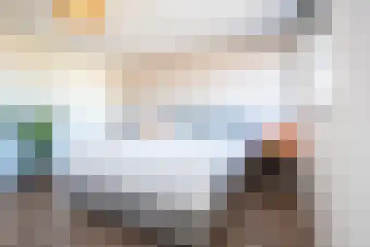 Renesselaan 99 Tilburg thumbnail 17