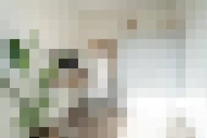 Renesselaan 99 Tilburg thumbnail 20