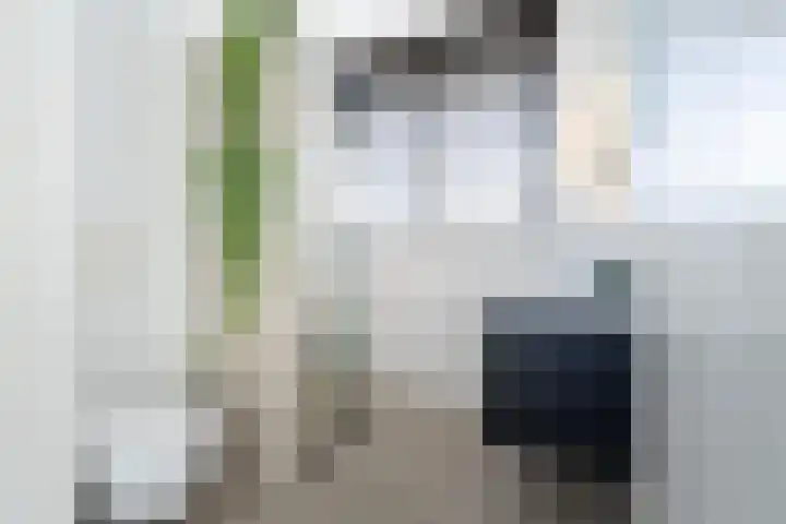Renesselaan 99 Tilburg thumbnail 21