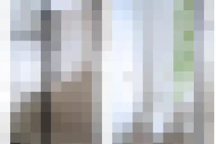 Renesselaan 99 Tilburg thumbnail 22