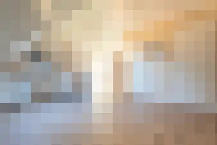 Renesselaan 99 Tilburg thumbnail 24