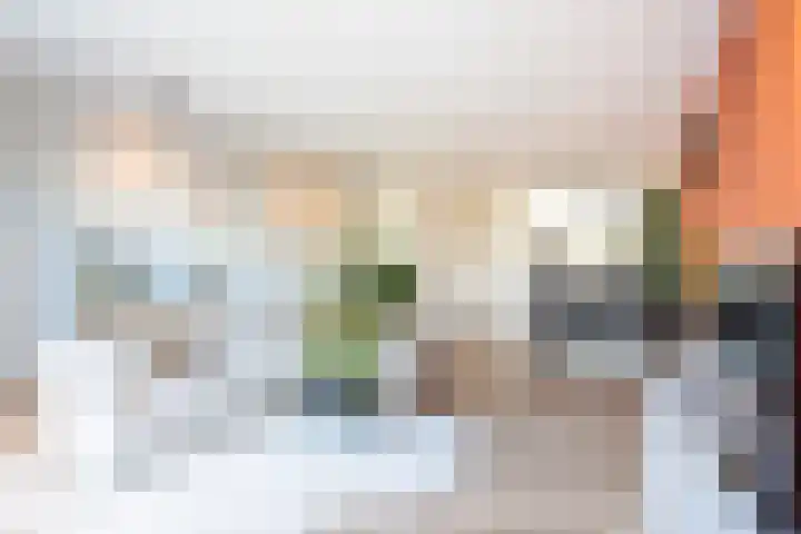 Renesselaan 99 Tilburg thumbnail 5
