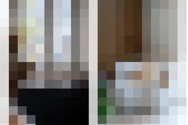 Renesselaan 99 Tilburg thumbnail 6