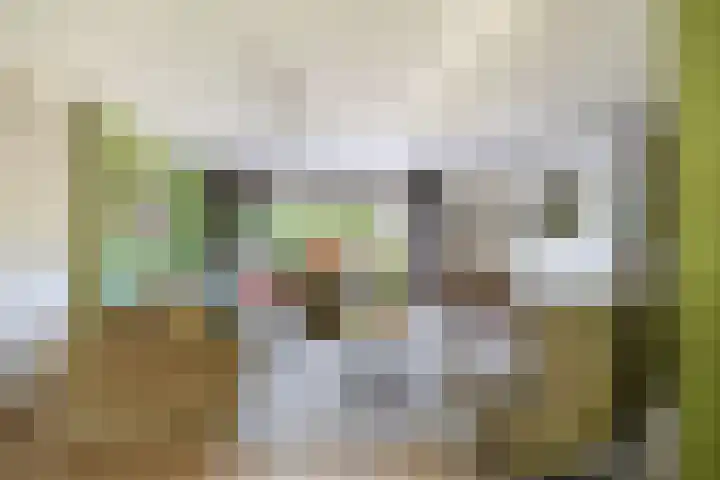 Renessestraat 1 Assendelft thumbnail 10