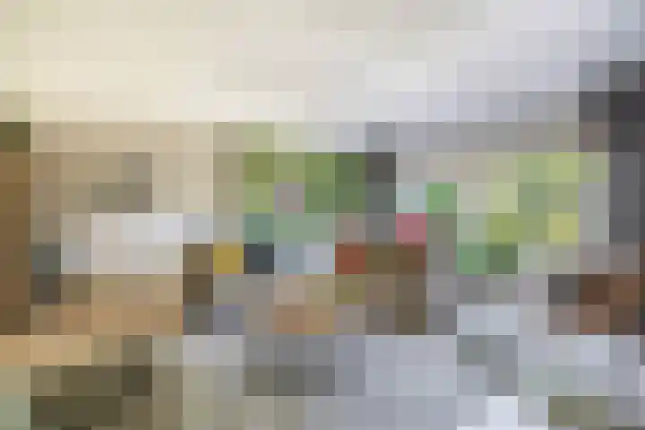 Renessestraat 1 Assendelft thumbnail 12