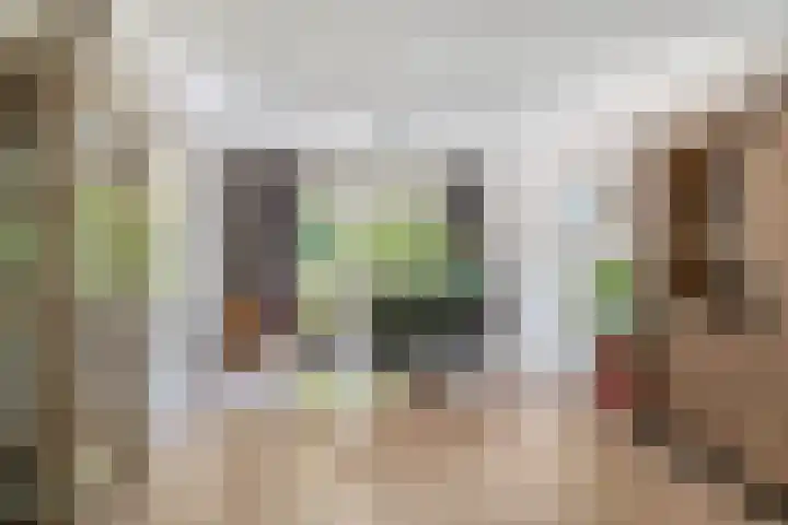 Renessestraat 1 Assendelft thumbnail 13