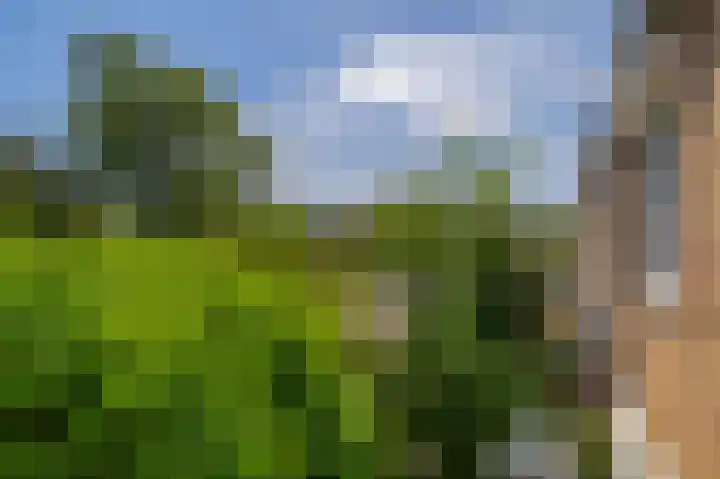 Renessestraat 1 Assendelft thumbnail 19