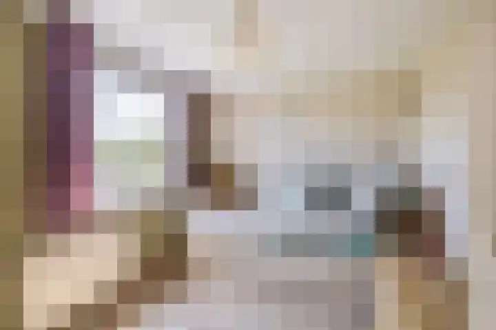 Renessestraat 1 Assendelft thumbnail 20