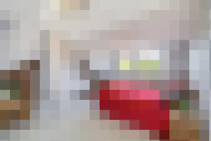Renessestraat 1 Assendelft thumbnail 27