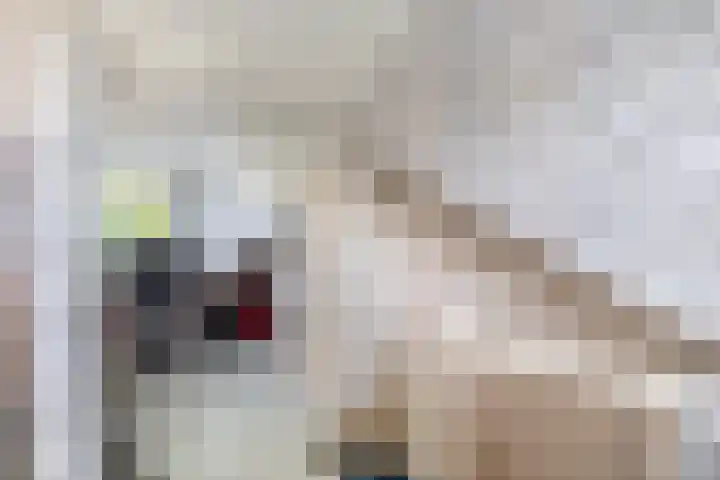 Renessestraat 1 Assendelft thumbnail 28