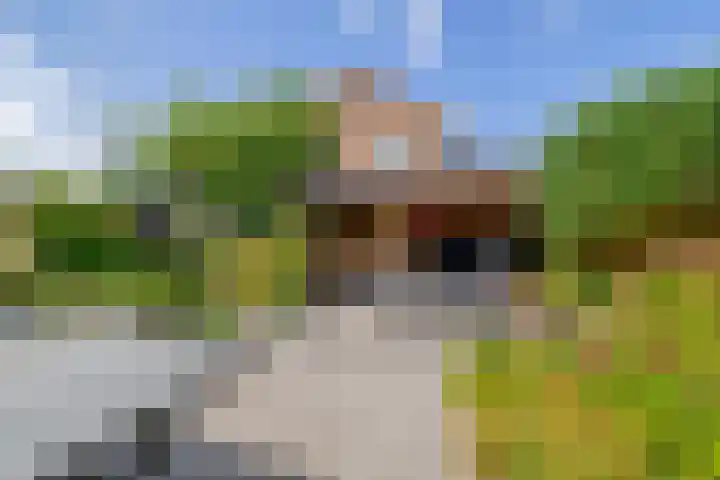 Renessestraat 1 Assendelft thumbnail 30
