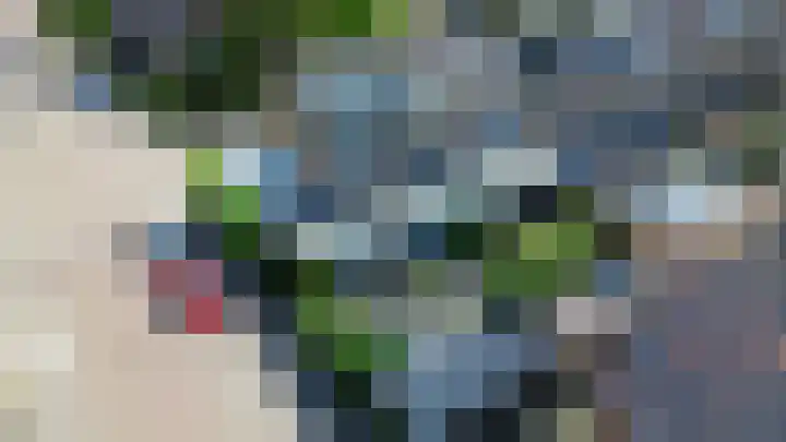 Renessestraat 1 Assendelft thumbnail 41