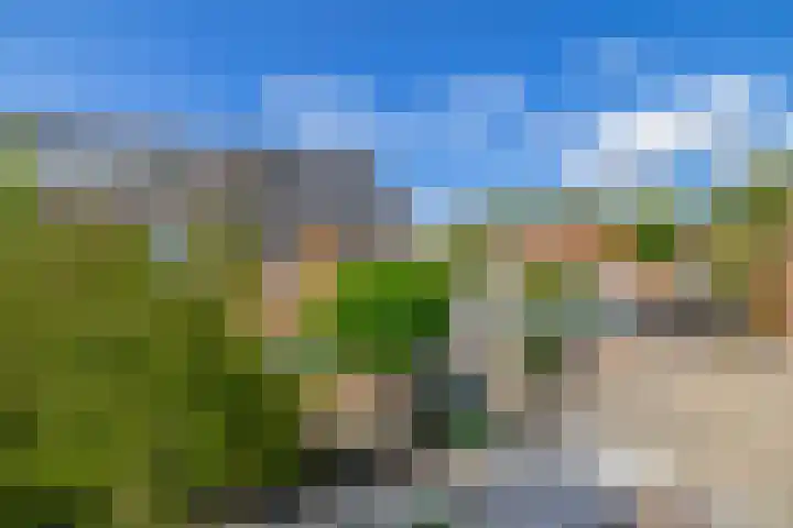 Renessestraat 1 Assendelft thumbnail 5
