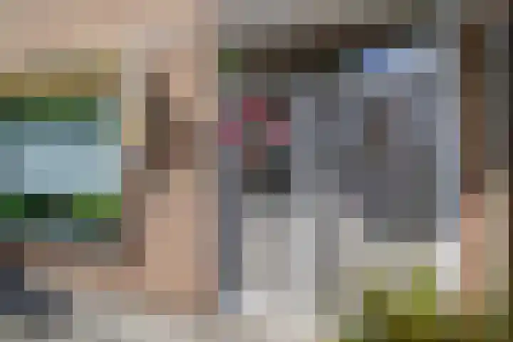 Renessestraat 1 Assendelft thumbnail 6