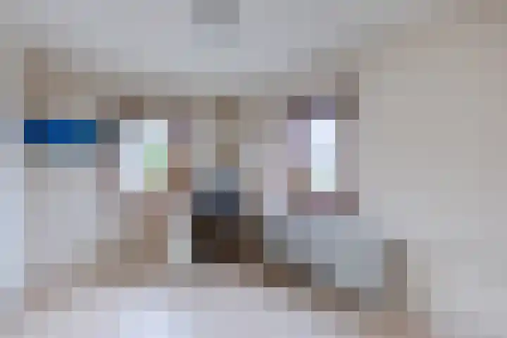 Renessestraat 20 Assendelft thumbnail 22