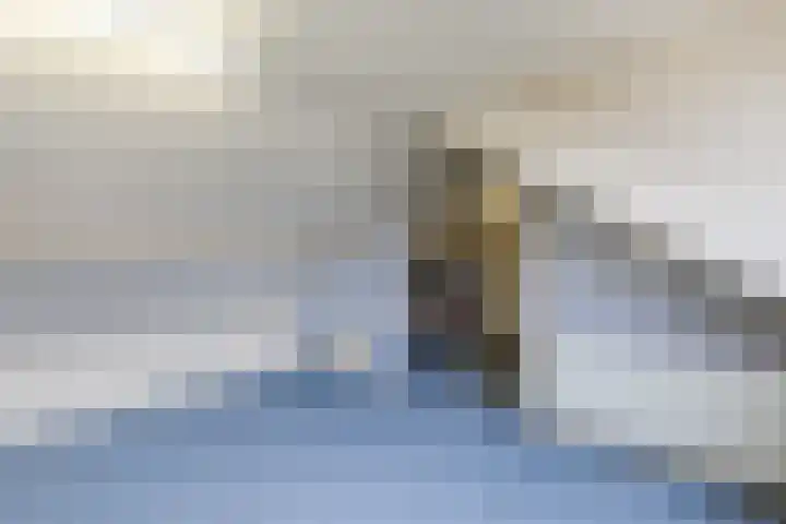 Renessestraat 20 Assendelft thumbnail 30