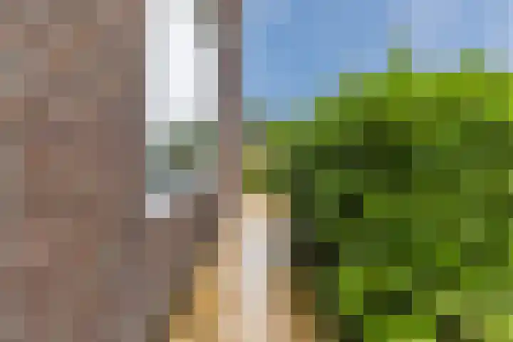Renessestraat 20 Assendelft thumbnail 33