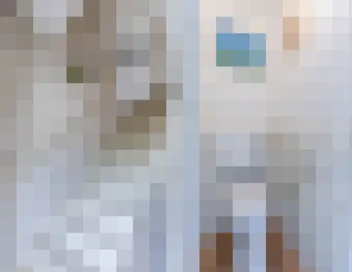 Renessestraat 20 Assendelft thumbnail 8