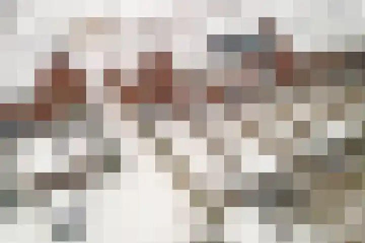 Renetstraat 19 Afferden thumbnail 35