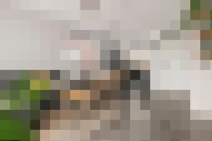 Renetstraat 19 Afferden thumbnail 9