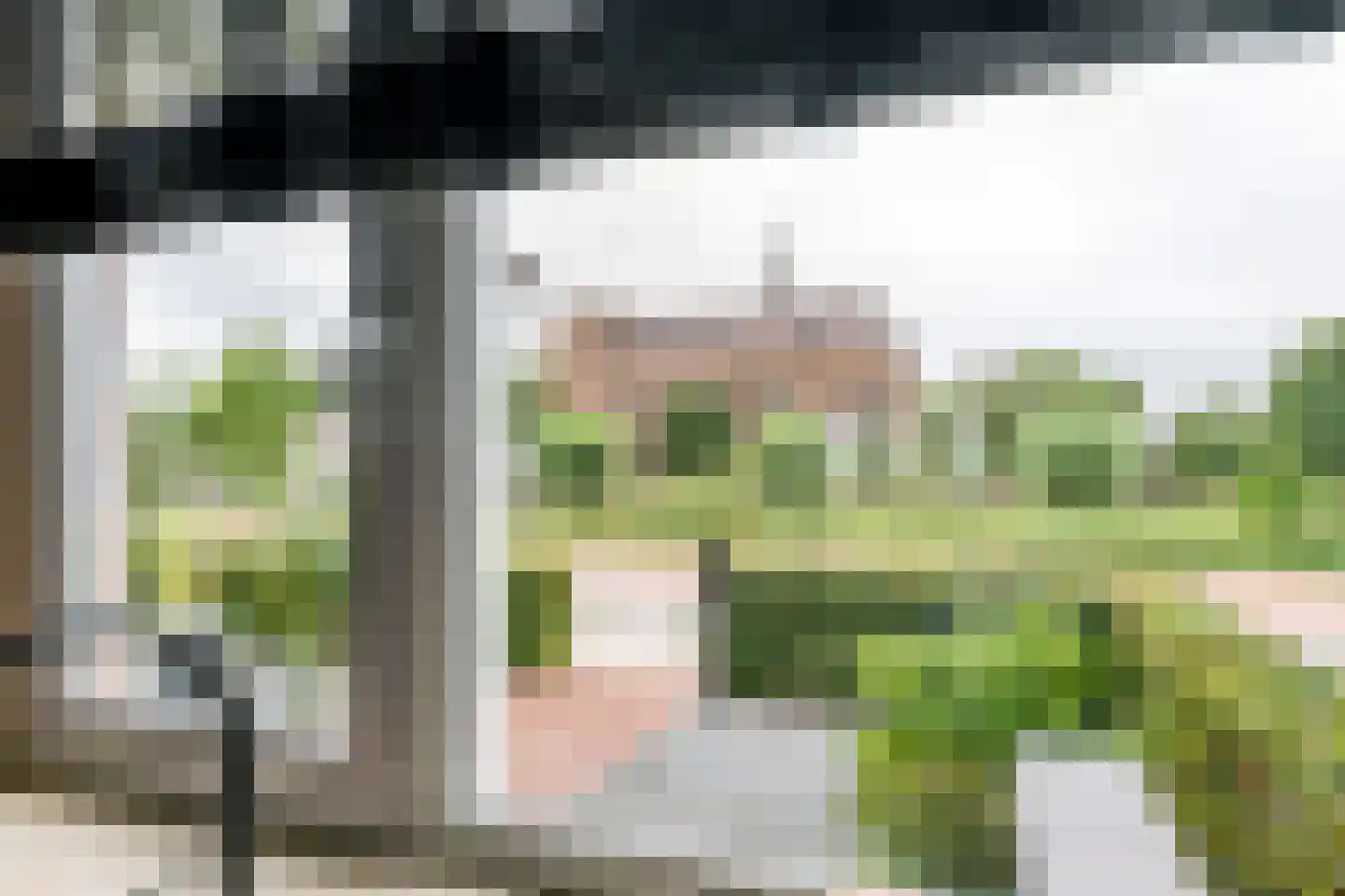 Renetstraat 23 Afferden thumbnail 10