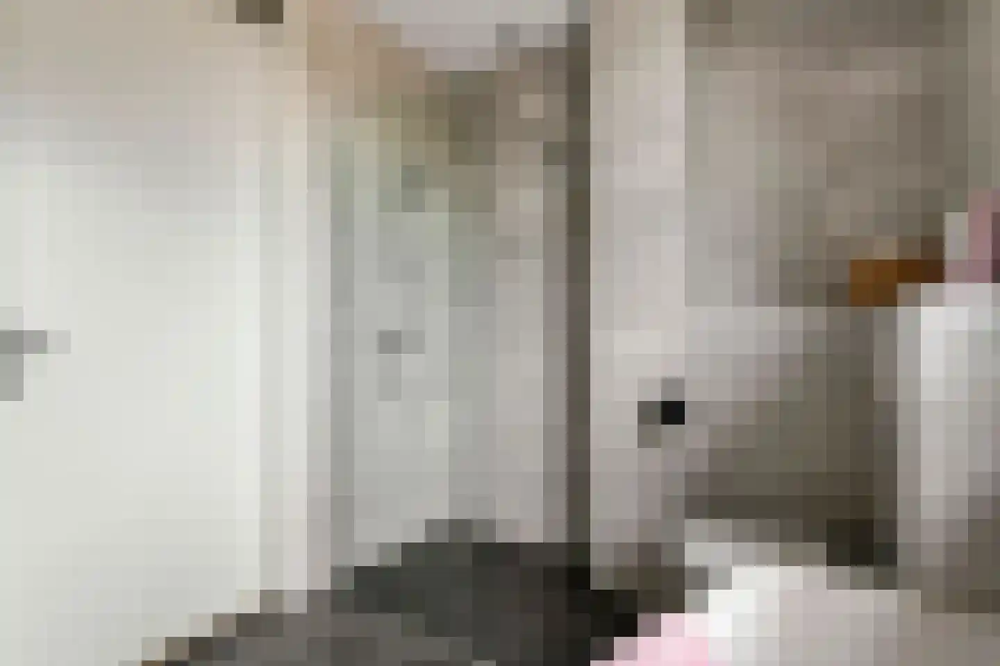 Renetstraat 23 Afferden thumbnail 24