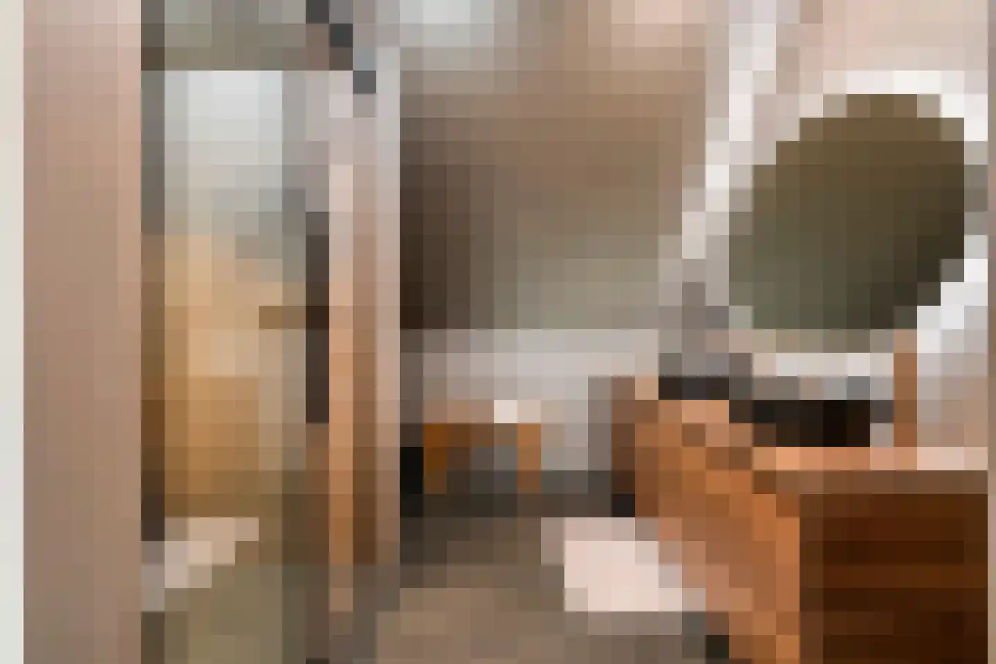 Renetstraat 23 Afferden thumbnail 32