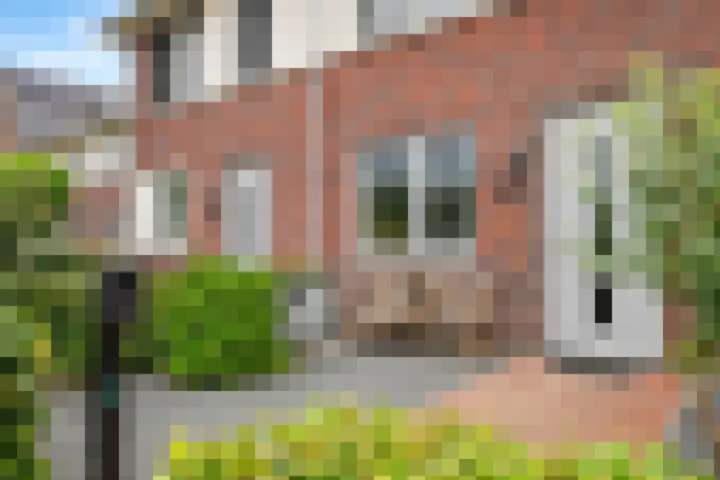 Renetstraat 23 Afferden thumbnail 6