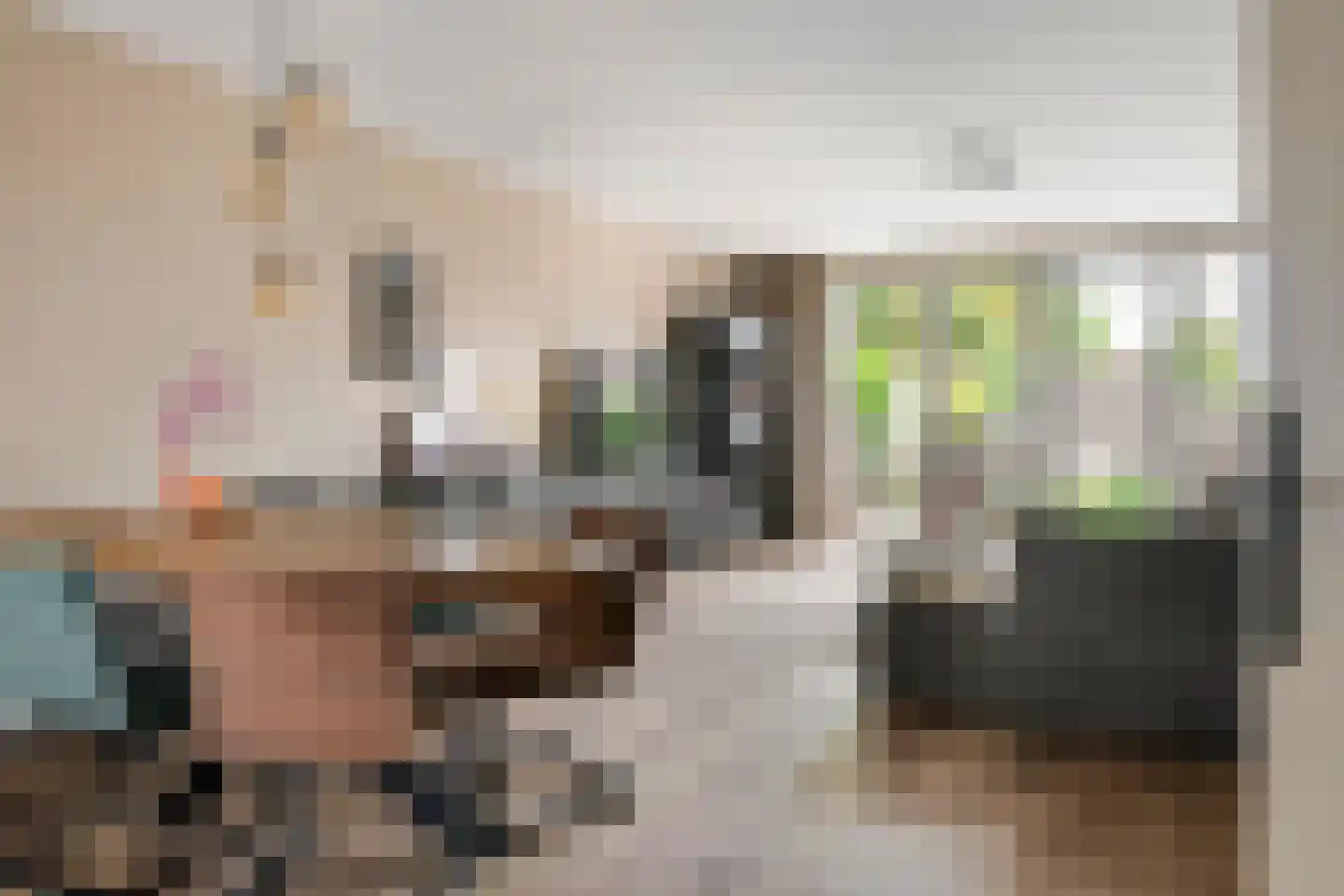 Renetstraat 23 Afferden thumbnail 7