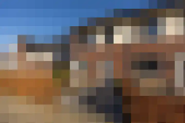 Renetstraat 25 Afferden thumbnail 49