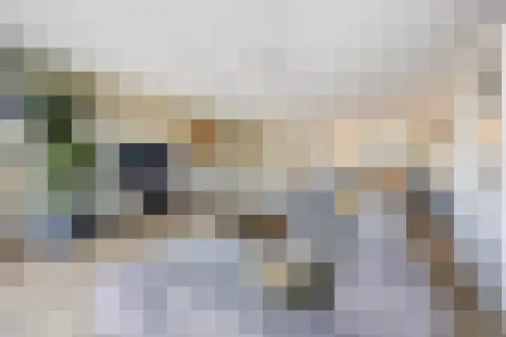 Renetstraat 25 Afferden thumbnail 9