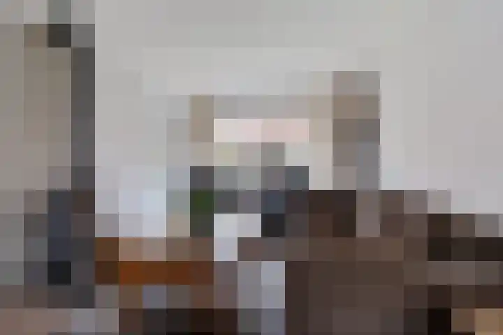 Rengelinkstraat 11 Almelo thumbnail 11