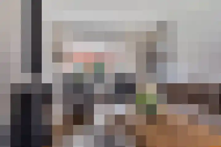 Rengelinkstraat 11 Almelo thumbnail 12