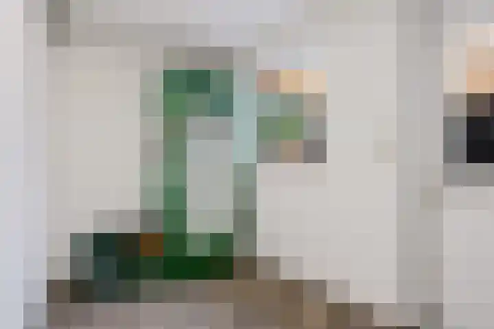 Rengelinkstraat 11 Almelo thumbnail 17