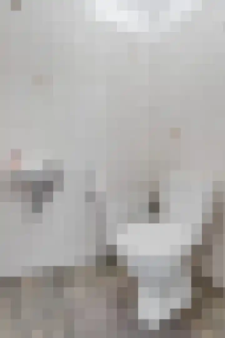 Rengelinkstraat 11 Almelo thumbnail 18