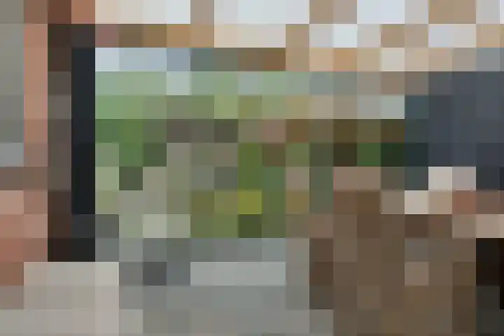 Rengelinkstraat 11 Almelo thumbnail 28