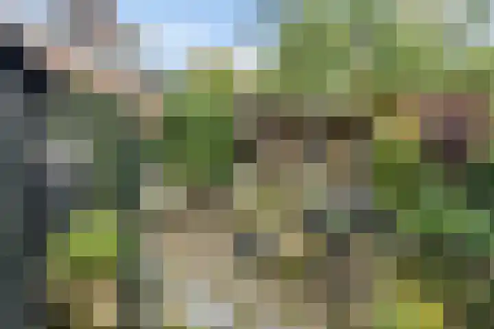 Rengelinkstraat 11 Almelo thumbnail 30