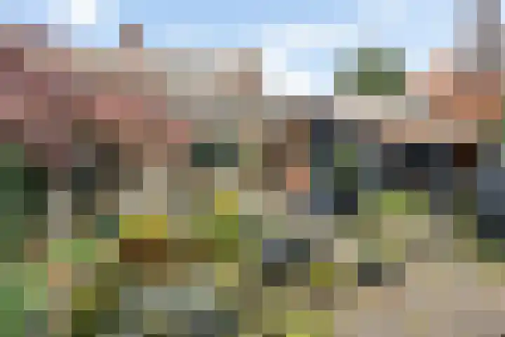 Rengelinkstraat 11 Almelo thumbnail 31